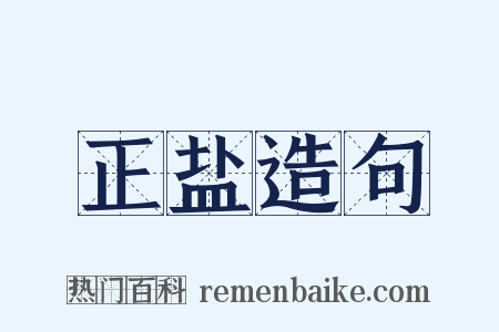 正盐造句是什么意思的图片